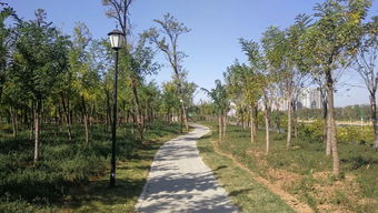 烏江河口公園可以開放了 證照聯(lián)辦,今后食品小經(jīng)營店登記更加便利 嫣然天使基金惠及我市