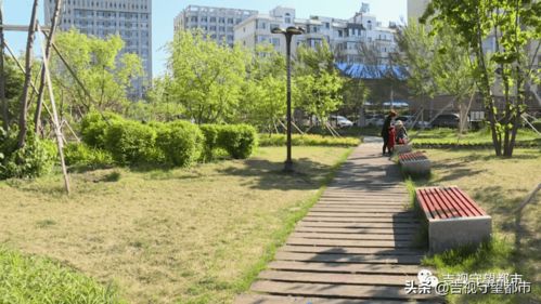 一起打卡呀 31處 口袋公園 預(yù)計5月末完工