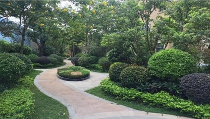 海南文昌園林綠化工程施工總承包,豐富的施工管理經(jīng)驗