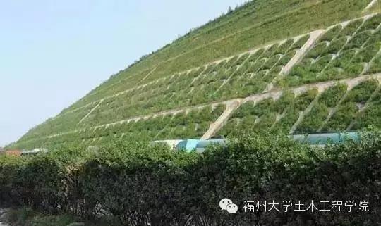 新技術(shù) 植生混凝土,讓建筑生機勃勃