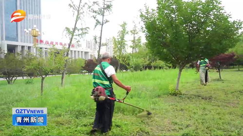 濰坊青州 加強園林綠化管護 提升城市綠色品質