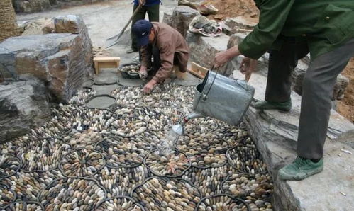 行業(yè)技術丨園林綠化施工現場如何管理 關鍵環(huán)節(jié)都在這里