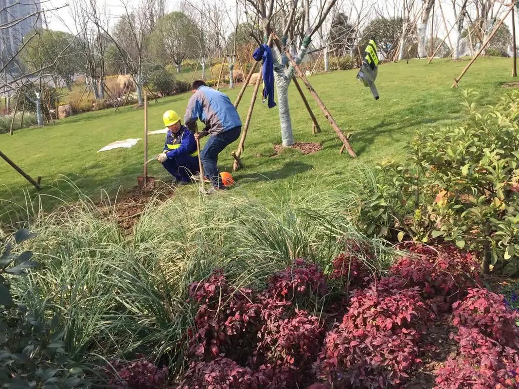 邊坡綠化工程 專業(yè)施工，筑造綠色家園的生態(tài)屏障